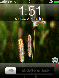 User inserted image