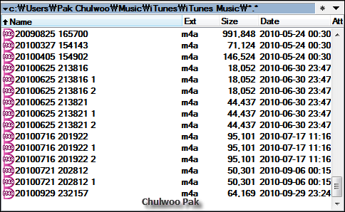iTunes Music 폴더