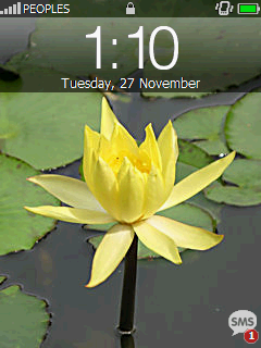 User inserted image