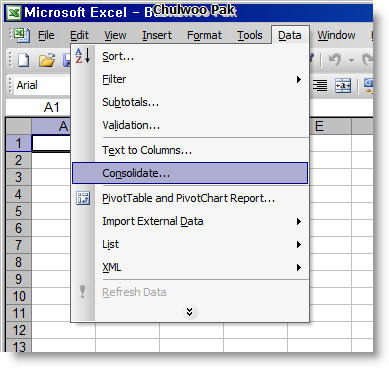 MS Excel 2003
