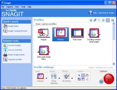 User inserted image