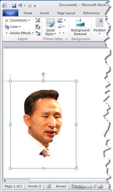 사용자 삽입 이미지