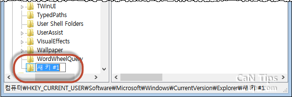 Windows 8 레지스트리 편집기: Serialize