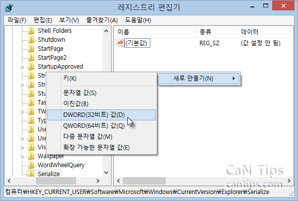 Windows 8 레지스트리 편집기: Serialize