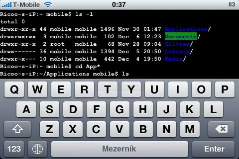 MobileTerminal running on an iPhone