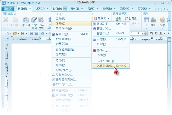 사용자 삽입 이미지